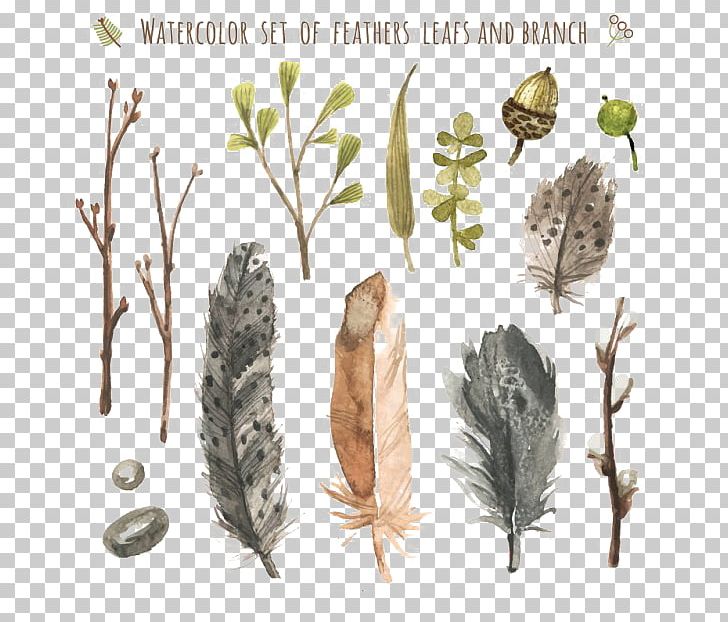 Watercolor Painting Feather Paper Pen PNG, Clipart, Animals, Branches, Brush, Computer Icons, Decoration Free PNG Download