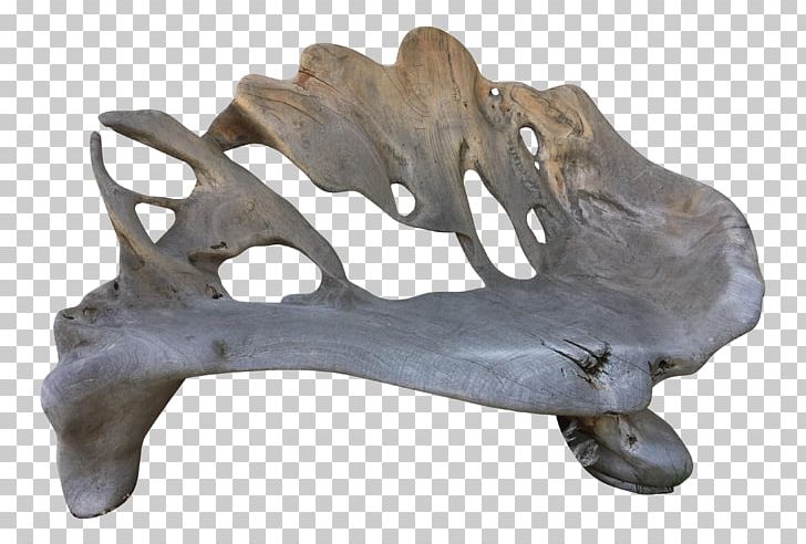 Antler Jaw PNG, Clipart, Antler, Jaw, Others Free PNG Download