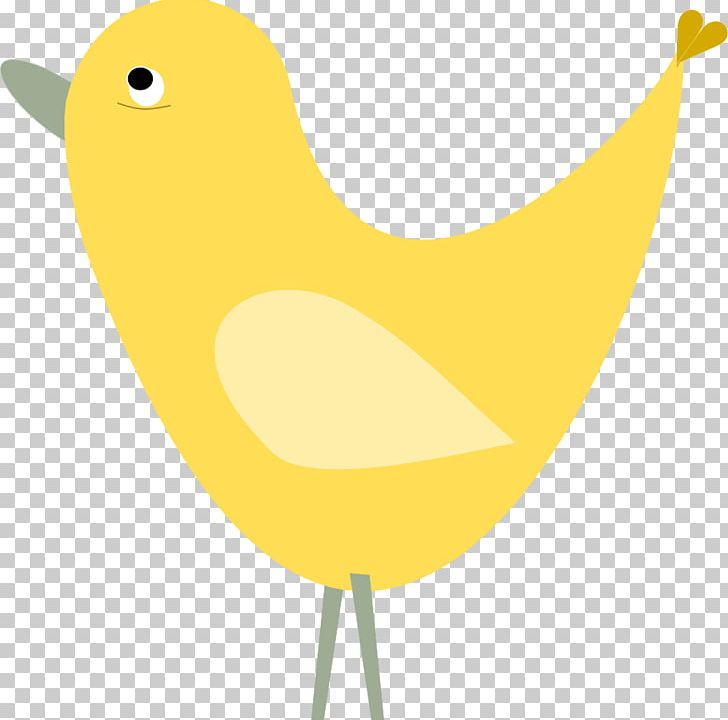 Beak Bird Duck Chicken Goose PNG, Clipart, Anatidae, Animal, Beak, Bird, Cartoon Free PNG Download