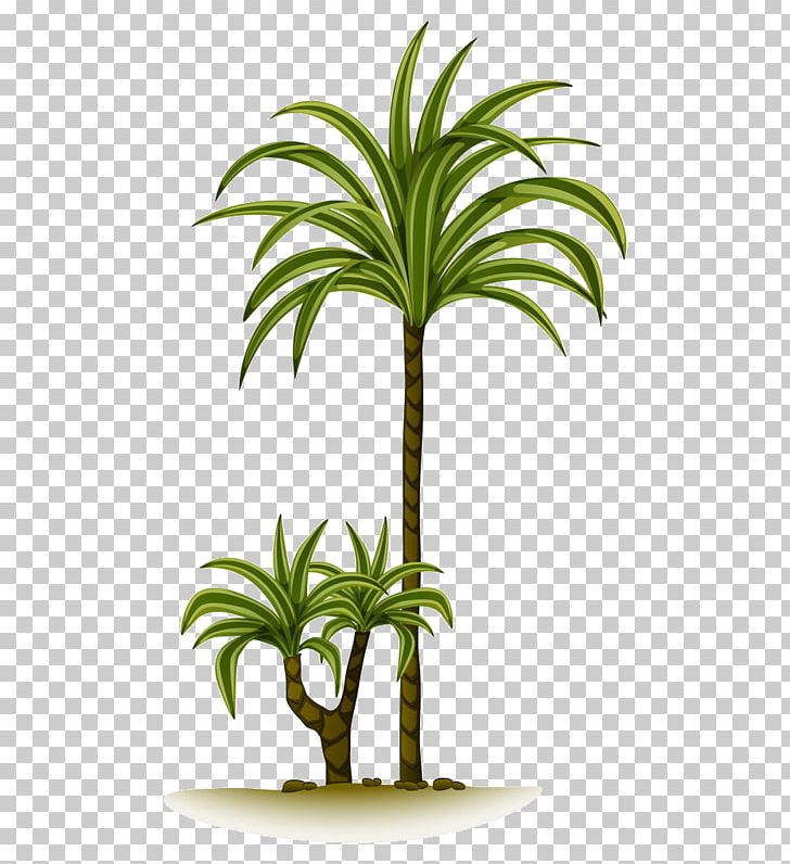 Graphics Palm Trees Gallery Of Trees Illustration PNG, Clipart, Arecales, Flowering Plant, Flowerpot, Gallery Of Trees, Grass Free PNG Download