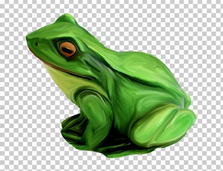 True Frog Tree Frog Toad Green PNG, Clipart, Amphibian, Animals, Figurine, Frog, Green Free PNG Download