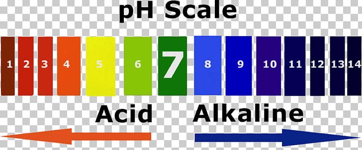 PH Alkalinity Acid–base Reaction PNG, Clipart, Acid, Acidity Function, Acid Strength, Alkali, Alkaline Diet Free PNG Download