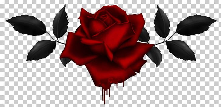 Portable Network Graphics Drawing Rose PNG, Clipart, Black Rose, Cut Flowers, Darkness Art, Desktop Wallpaper, Display Free PNG Download
