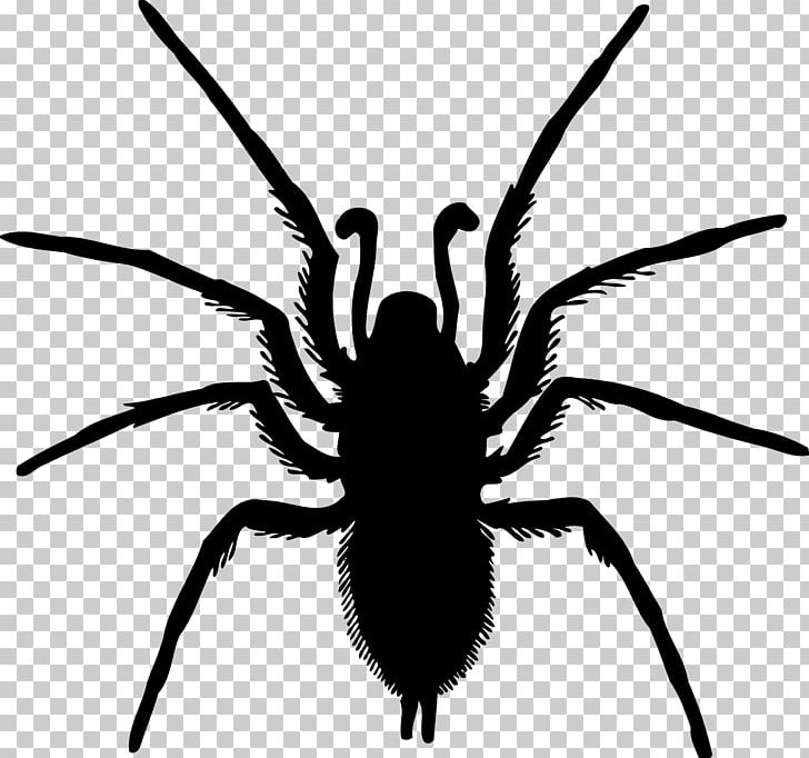 Spider Silhouette Drawing PNG, Clipart, Arachnid, Art, Arthropod, Black And White, Drawing Free PNG Download