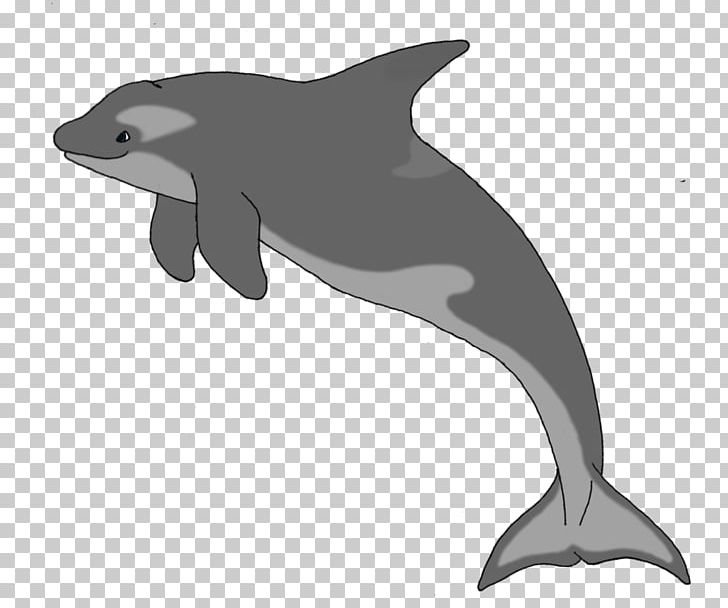 Common Bottlenose Dolphin Short-beaked Common Dolphin Tucuxi Rough-toothed Dolphin White-beaked Dolphin PNG, Clipart, Animals, Bottlenose Dolphin, Cetacea, Deviantart, Dolphin Free PNG Download