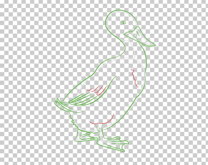 Duck Cygnini Seabird Beak Illustration PNG, Clipart, Animals, Art, Artwork, Beak, Bird Free PNG Download