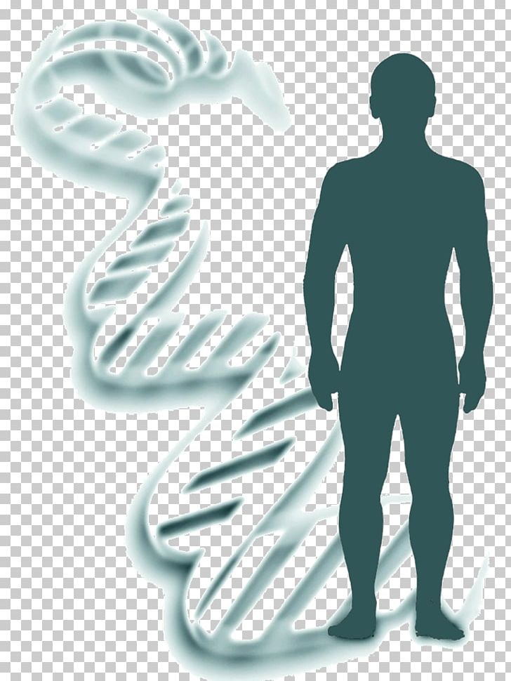 Genetics Heredity Forensic Identification DNA PNG, Clipart, Allele, Arm, Chromosome, Dna, Education Science Free PNG Download