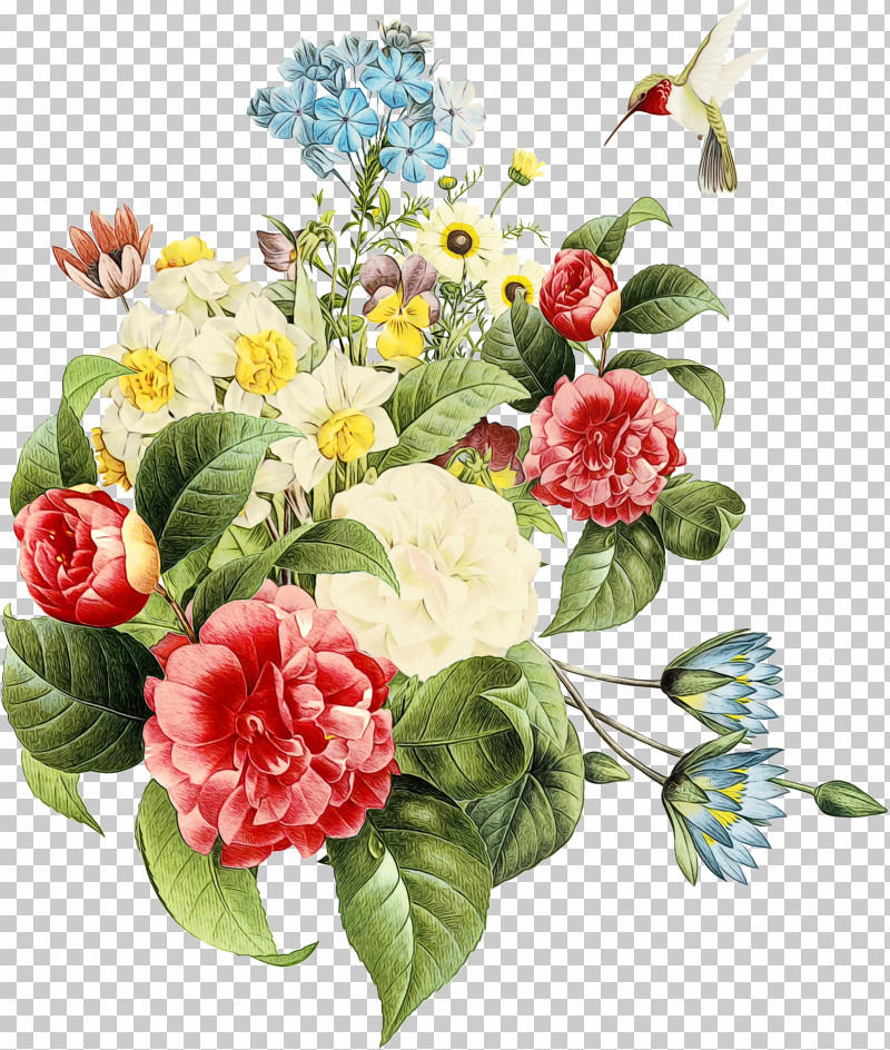 Floral Design PNG, Clipart, Annual Plant, Cabbage Rose, Cut Flowers, Family, Floral Design Free PNG Download