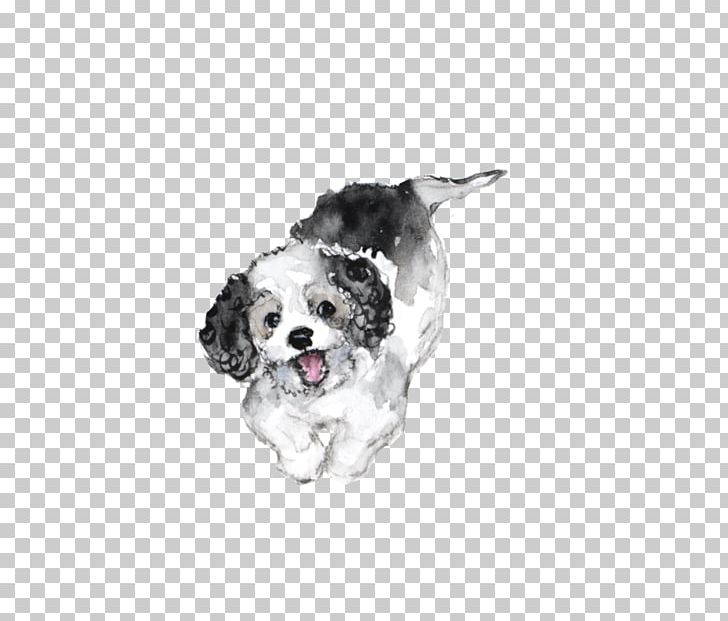 English Springer Spaniel English Setter Cavalier King Charles Spaniel Stabyhoun Puppy PNG, Clipart, Agatha, Animals, Apothecary, Breed, Carnivoran Free PNG Download