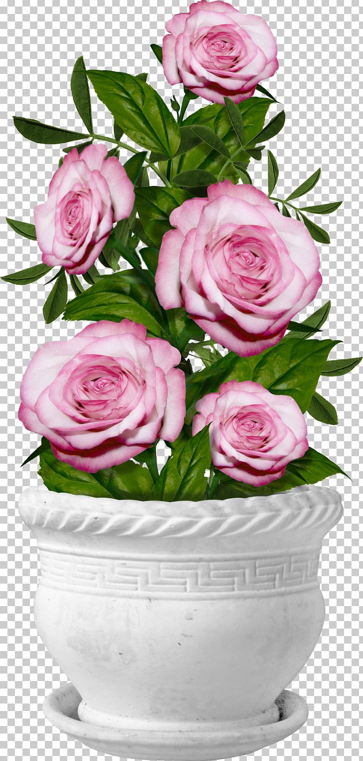 Garden Roses Centifolia Roses Flower PNG, Clipart, Cut Flowers, Fairy, Floral Design, Floristry, Flower Arranging Free PNG Download
