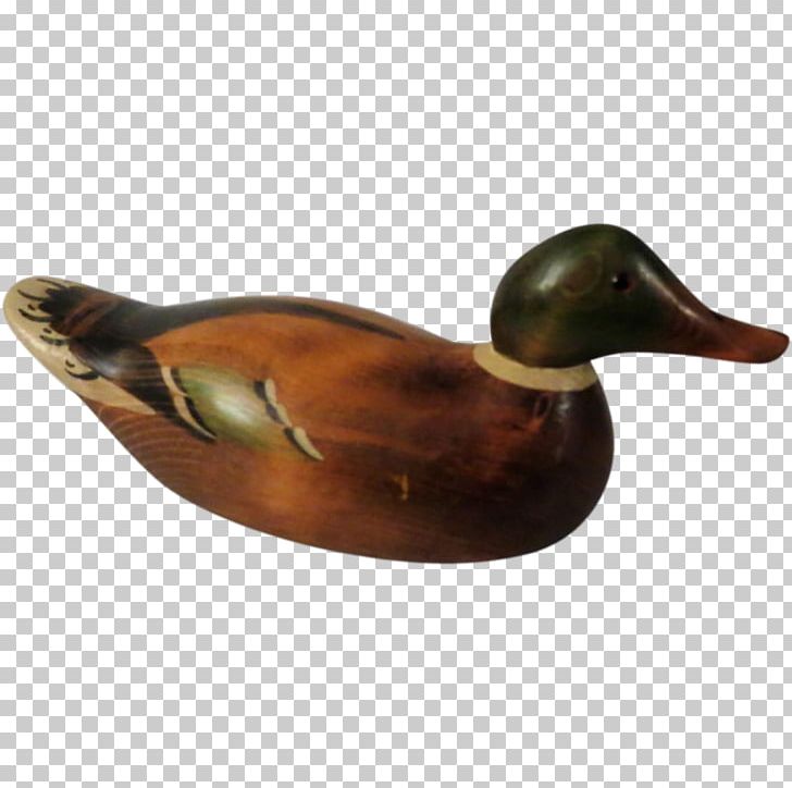 Mallard Duck Beak PNG, Clipart, Animals, Beak, Bird, Decoy, Drake Free PNG Download