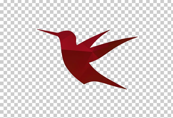 Hummingbird M Beak Wing PNG, Clipart, Animals, Beak, Bird, Hummingbird, Hummingbird M Free PNG Download