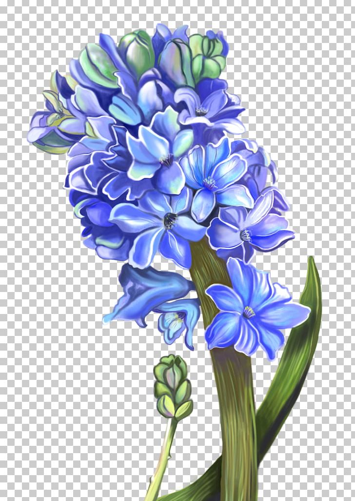 Hyacinth Floral Design Cut Flowers PNG, Clipart, Cut Flowers, Floral Design, Floristry, Flower, Flowering Plant Free PNG Download
