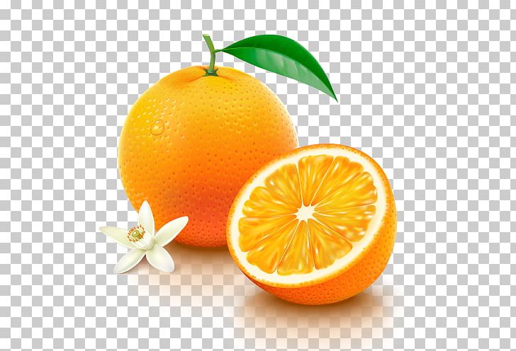 Orange Juice Nutrient Vitamin C PNG, Clipart, Banana, Bitter Orange, Chenpi, Citric Acid, Citron Free PNG Download