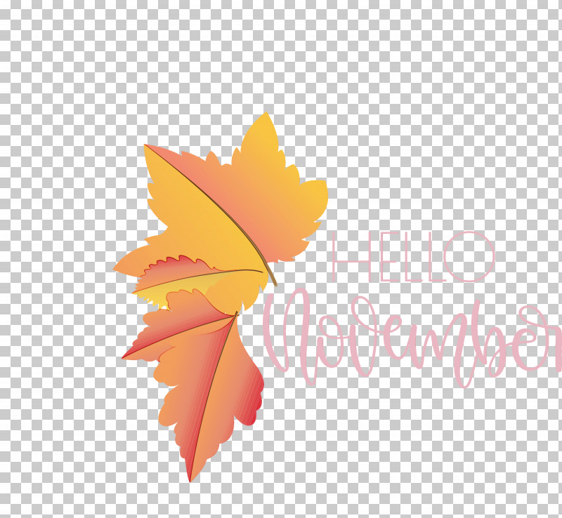 Leaf Flower November Petal Maple Leaf / M PNG, Clipart, Flower, Hello November, Leaf, Maple Leaf M, Megabyte Free PNG Download