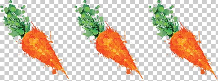 Carrot Juice Vegetable Romanesco Broccoli PNG, Clipart, Broccoflower, Callout, Carrot, Carrot Juice, Cumbria Free PNG Download