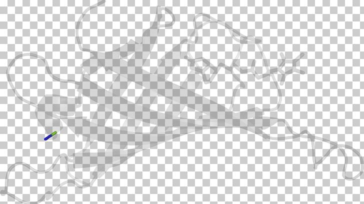 /m/02csf Drawing PNG, Clipart, Area, Artwork, Beak, Black, Black And White Free PNG Download