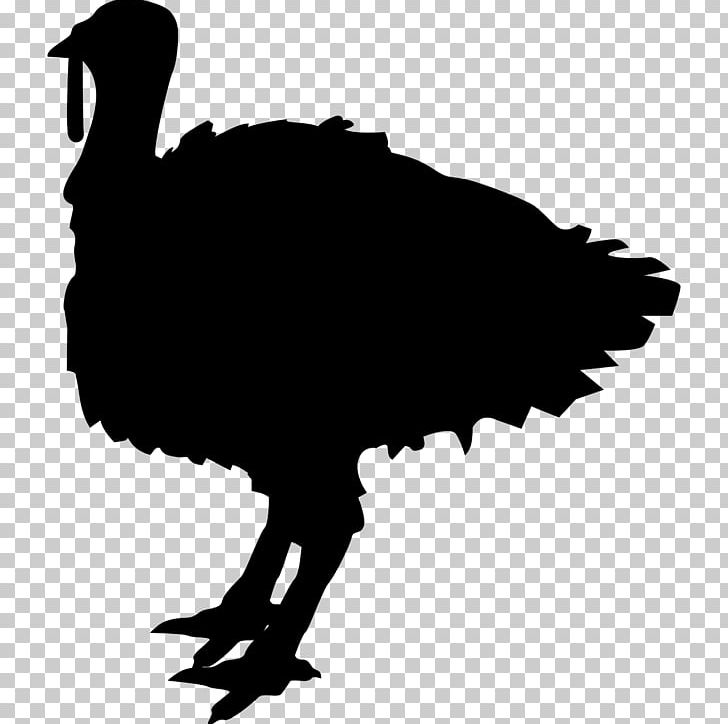 Black Turkey Jerky Turkey Meat PNG, Clipart, Animals, Beak, Bird, Black And White, Black Turkey Free PNG Download