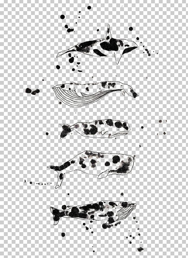 Dalmatian Dog Right Whales Black And White Illustration PNG, Clipart, Animals, Background Black, Black, Black Hair, Black White Free PNG Download