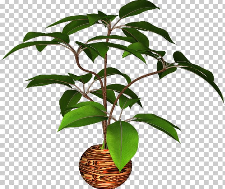 Flowerpot Plant PNG, Clipart, Cicek, Digital Image, Download, Encapsulated Postscript, Exotic Free PNG Download