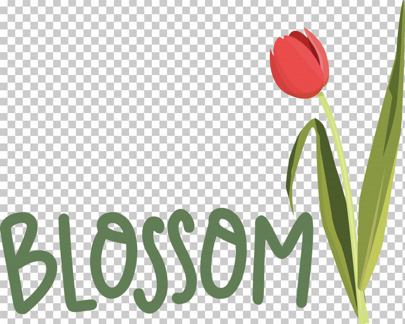 Flower Plant Stem Logo Tulip Font PNG, Clipart, Biology, Flower, Logo, Meter, Petal Free PNG Download