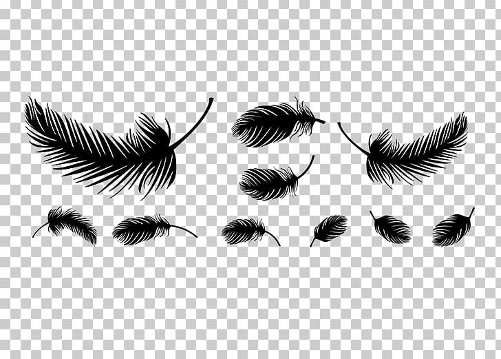 Bird Feather Insect Eyelash Membrane PNG, Clipart, Animals, Bird, Black And White, Eyelash, Feather Free PNG Download
