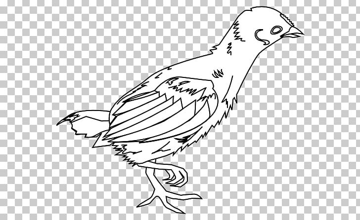 Fried Chicken Kifaranga Drawing PNG, Clipart, Artwork, Beak, Bird, Black And White, Chicken Free PNG Download