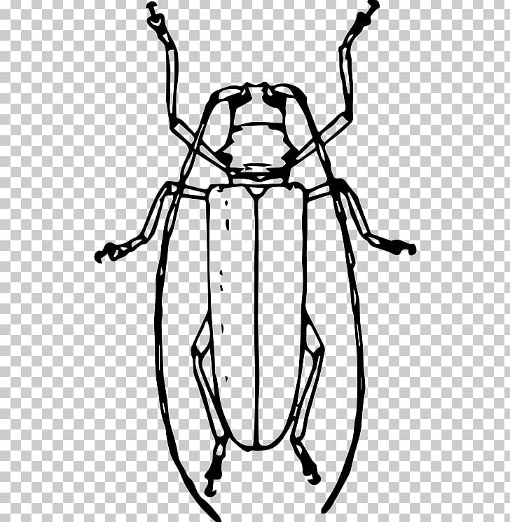 Longhorn Beetle Drawing Cardinal Beetle PNG, Clipart, Animals, Artwork, Asian Longhorned Beetle, Beetle, Black And White Free PNG Download