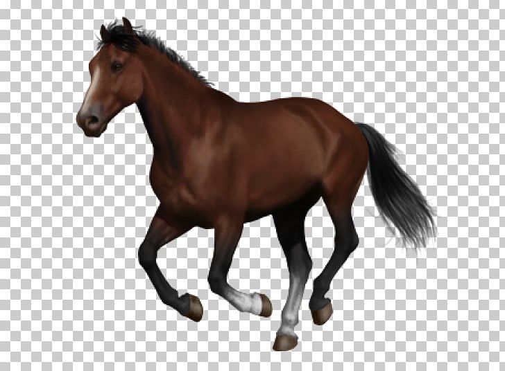 Mustang Andalusian Horse Trakehner Arabian Horse Budyonny Horse PNG, Clipart, Animal, Animal Figure, Arabian Horse, Art, Barbie Free PNG Download