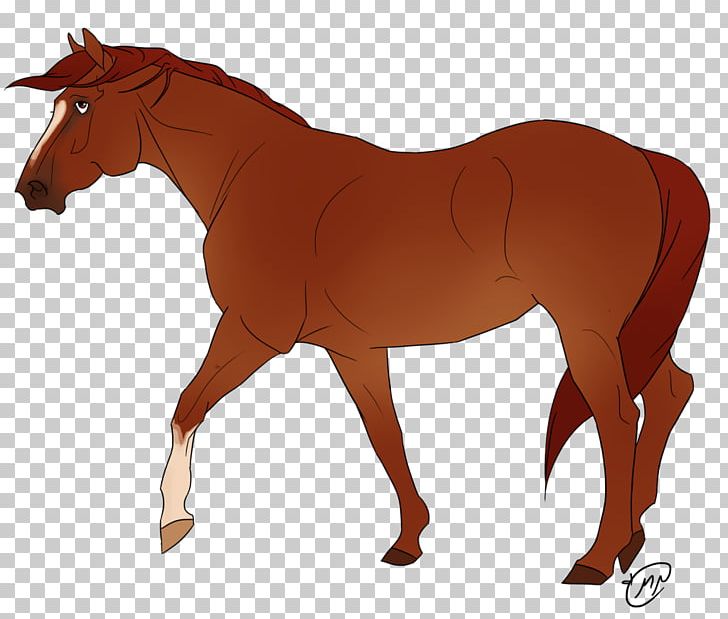 Pony Stallion Foal Mustang Shire Horse PNG, Clipart, Colt, Draft Horse, Equestrian, Foal, Halter Free PNG Download