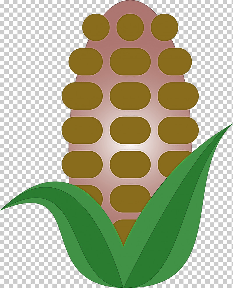 Corn PNG, Clipart, Corn, Flower, Grass, Green, Houseplant Free PNG Download