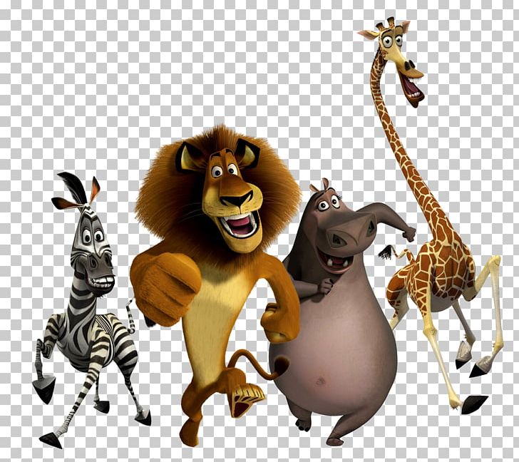Marty Madagascar Film PNG, Clipart, Anim, Animation, Big Cats, Carnivoran, Cat Like Mammal Free PNG Download