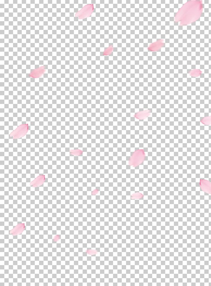Cherry Blossom Flower PNG, Clipart, Blossom, Blossoms, Cherry, Cherry Blossom, Cherry Blossoms Free PNG Download