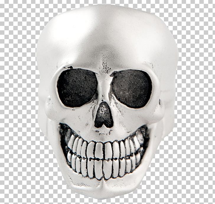 Skull Skeleton PNG, Clipart, Bone, Jaw, Skeleton, Skull Free PNG Download