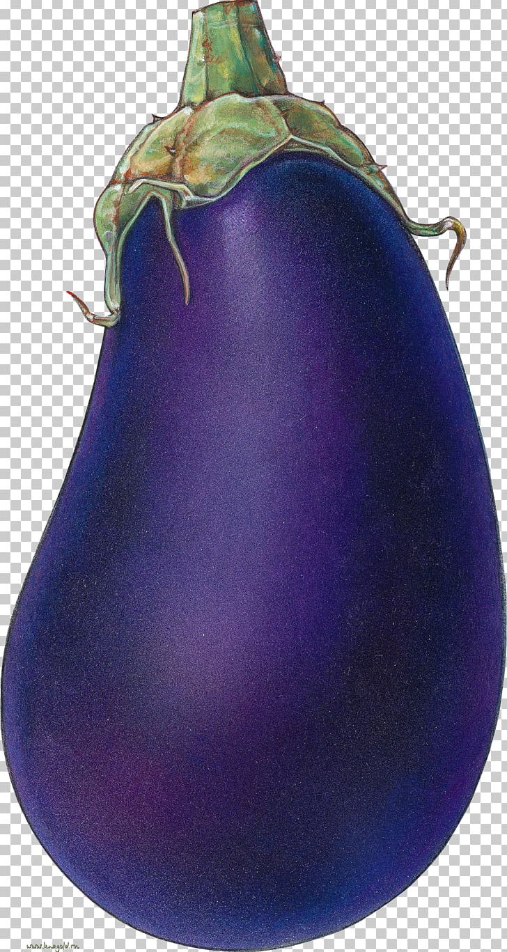 Fruit Vegetable Eggplant Painting Drawing PNG, Clipart, Auglis, Berry, Cabbage, Drawing, Eggplant Free PNG Download