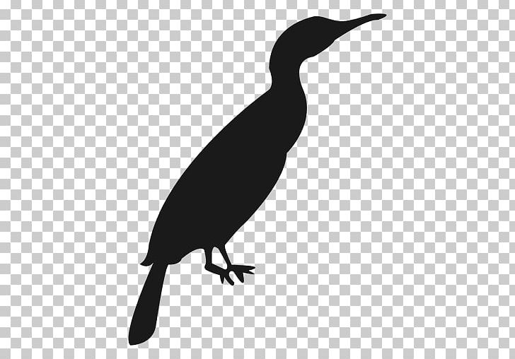 Silhouette Encapsulated PostScript PNG, Clipart, Animals, Beak, Bird, Black And White, Cormorant Free PNG Download