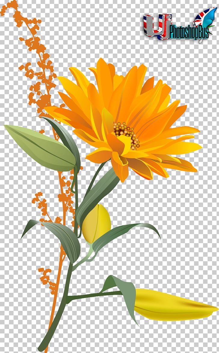 Bee Pollination Common Sunflower PNG, Clipart, Bee, Blossom, Calendula, Common Sunflower, Cut Flowers Free PNG Download