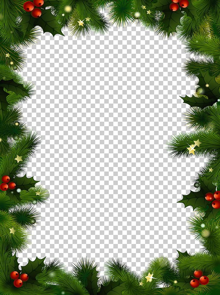 Christmas Decoration Santa Claus PNG, Clipart, Aquifoliaceae, Branch, Christmas, Christmas And Holiday Season, Christmas Decoration Free PNG Download