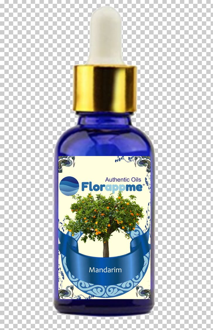 Essential Oil Aroma Agathosma Betulina Coriander Herb PNG, Clipart, Agathosma, Agathosma Betulina, Aroma, Cinnamon Basil, Coriander Free PNG Download