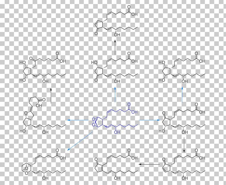 Prostanoid Prostaglandin H2 Eicosanoid Biosynthesis PNG, Clipart, Angle, Auto Part, Biosynthesis, Chemical Synthesis, Circle Free PNG Download