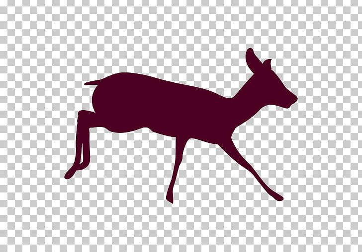 Reindeer Antelope PNG, Clipart, Animal, Animals, Antelope, Antler, Canidae Free PNG Download