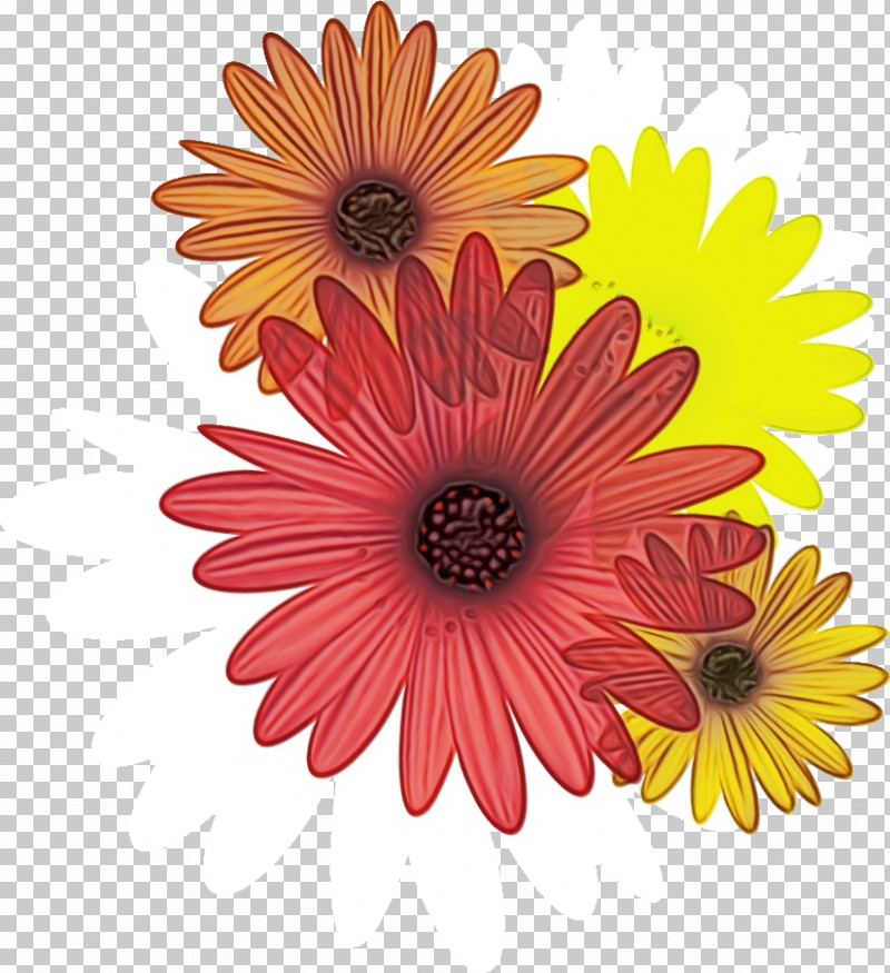 Artificial Flower PNG, Clipart, Artificial Flower, Barberton Daisy, Chrysanthemum, Common Daisy, Cut Flowers Free PNG Download