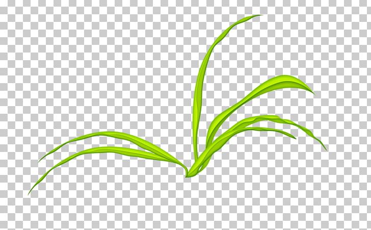Leaf Grasses Green Tree Plant Stem PNG, Clipart, Artificial Grass, Brand, Computer, Computer Wallpaper, Family Free PNG Download