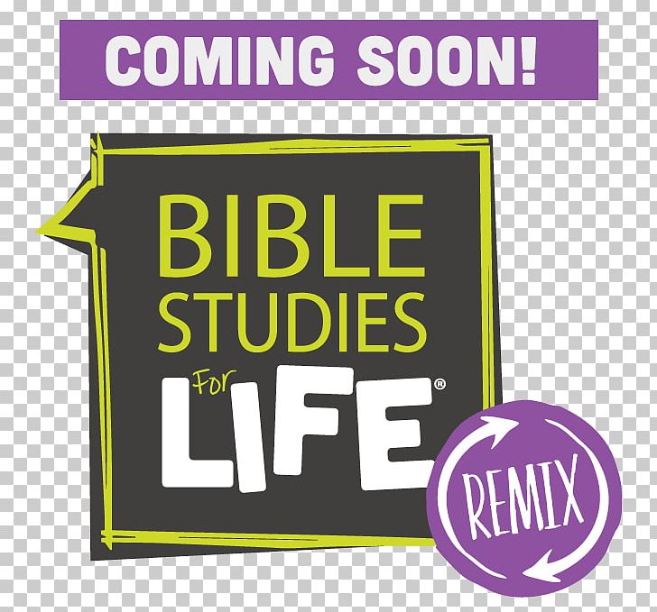 Bible Study LifeWay Christian Resources Child God's Word Translation PNG, Clipart,  Free PNG Download