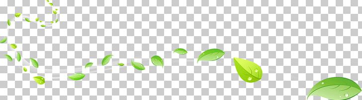 Brand PNG, Clipart, Computer, Computer Wallpaper, Creative, Creative Vector, Fall Leaves Free PNG Download