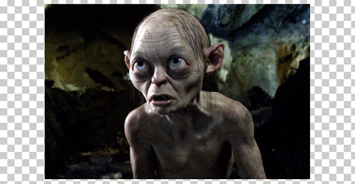 Gollum The Lord Of The Rings The Hobbit Middle-earth Frodo Baggins PNG, Clipart, Actor, Face, Fictional Character, Head, Human Free PNG Download