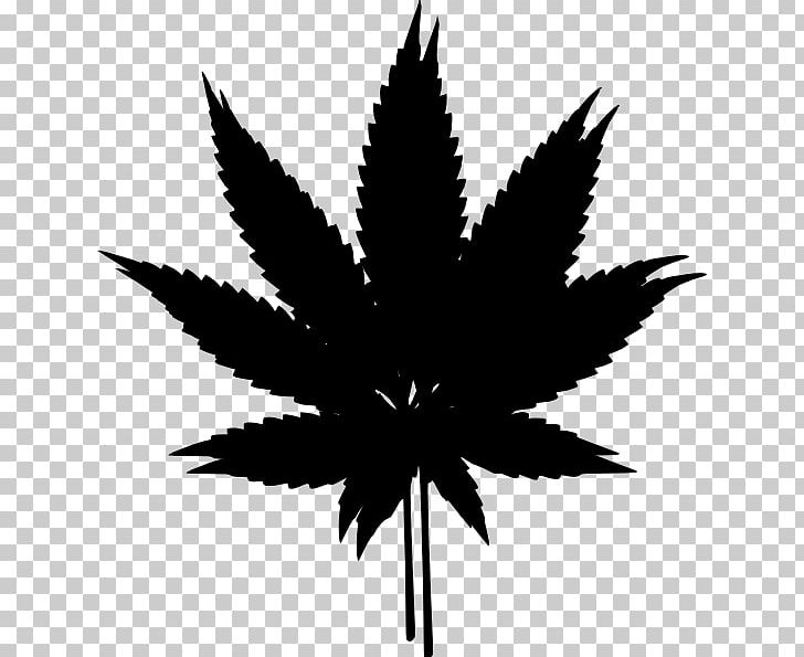 Cannabis Hash PNG, Clipart, Black And White, Cannabis, Drug, Flowering Plant, Hashish Free PNG Download