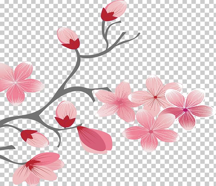 Cherry Blossom Pink PNG, Clipart, Blossoms Vector, Branch, Cerasus, Cherry, Cherry Blossoms Free PNG Download
