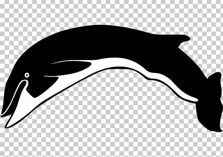 Dolphin Fauna Line Fish PNG, Clipart, Animals, Beak, Black, Black And White, Black M Free PNG Download