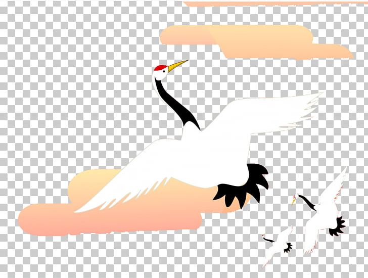 Red-crowned Crane Bird PNG, Clipart, Balloon Cartoon, Beak, Bird, Boy, Cartoon Free PNG Download